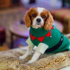 Dog Christmas Hoodie