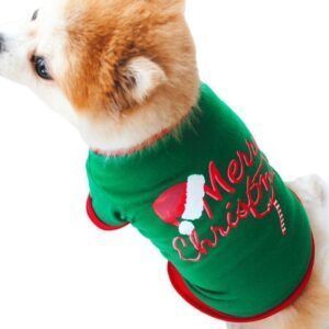 Dog Christmas Hoodie