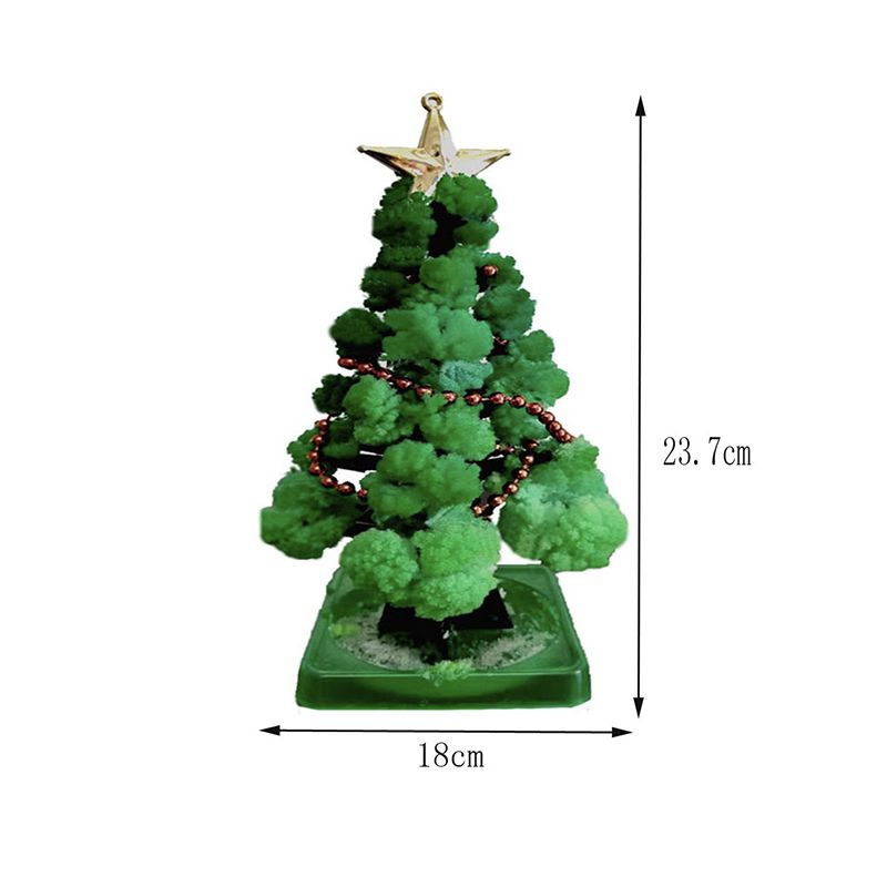 Growing Christmas Tree32.jpg