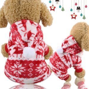 Dog Christmas Hoodie