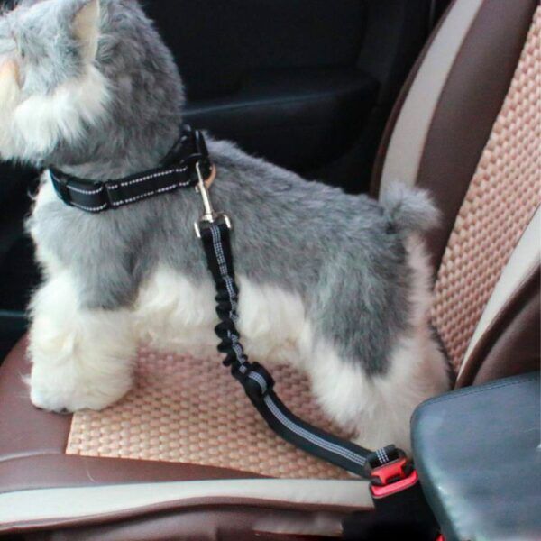 Pet Seat Belt1.jpg