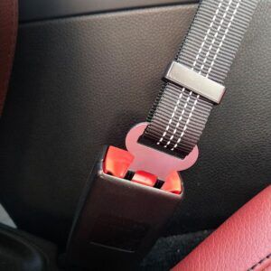 Pet Seat Belt - BareCrate