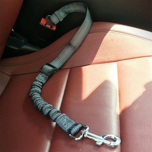 Pet Seat Belt16.jpg