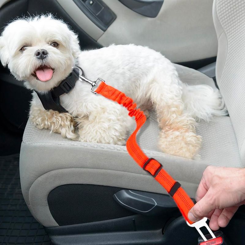 Pet Seat Belt2.jpg