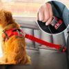 Pet Seat Belt5.jpg