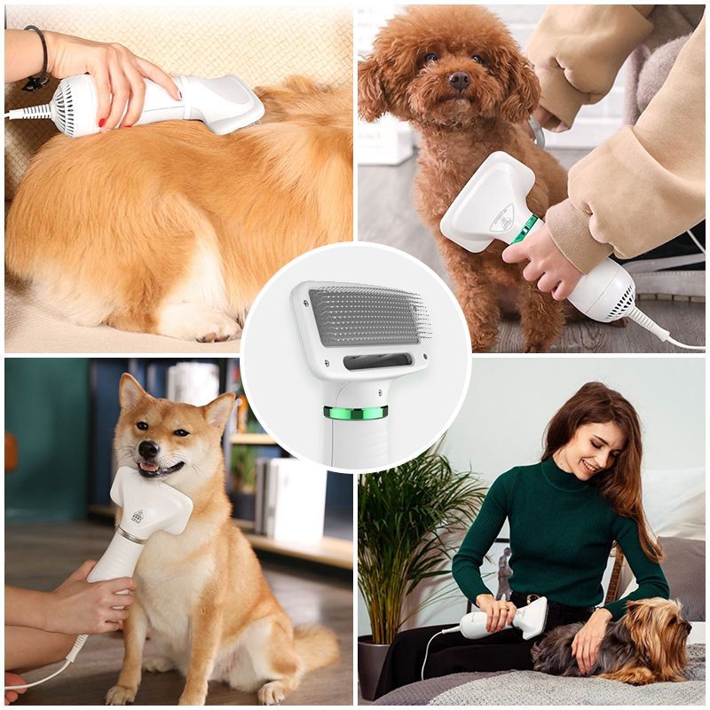 2-In-1 Portable Pet Hair Dryer - BareCrate