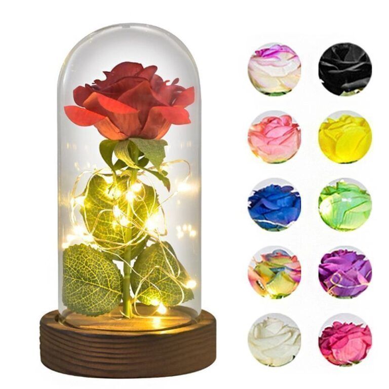 Eternal Rose Glass Dome - BareCrate