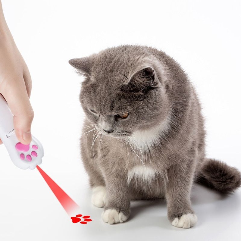 light up cat toy