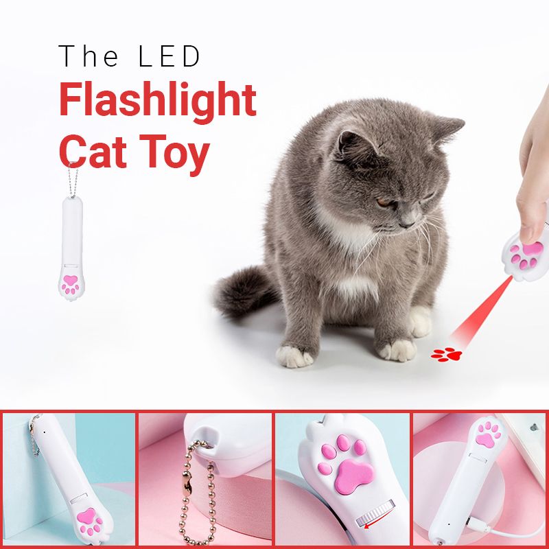 LED Flashlight Cat Toy_main.jpg