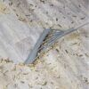 Magical Silicone Broom_0009_Layer 8.jpg