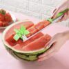 watermelon cutter_0009_img_0_NEW_Watermelon_Cutter_Multi_Melon_Slicer.jpg