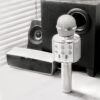 Bluetooth Karaoke Microphone_0000s_0006_Layer 24.jpg