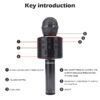 Bluetooth Karaoke Microphone_0000s_0010_Layer 17.jpg