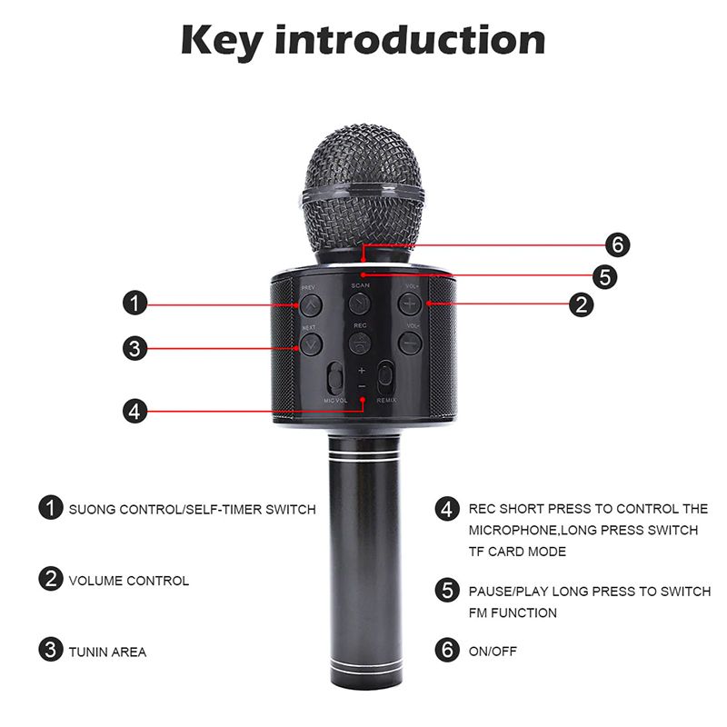 Bluetooth Karaoke Microphone_0000s_0010_Layer 17.jpg
