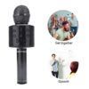Bluetooth Karaoke Microphone_0000s_0011_Layer 15.jpg