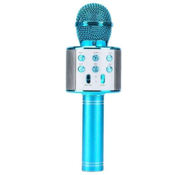 Microphone blue.jpg