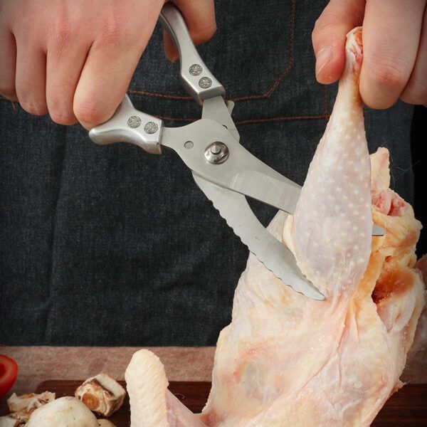 Chicken Bone Scissors4.jpg