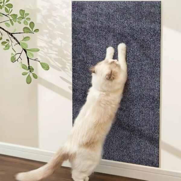 PawsGrip Self-Adhesive Pad_0001_Layer 3.jpg